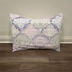 Pottery Barn Teen-2 standard pillow shams